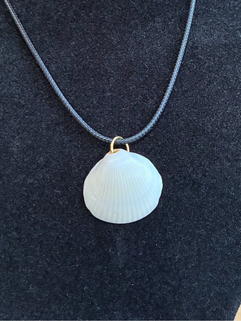 Minimalist White Seashell Pendant Necklace | Natural Ocean Shell